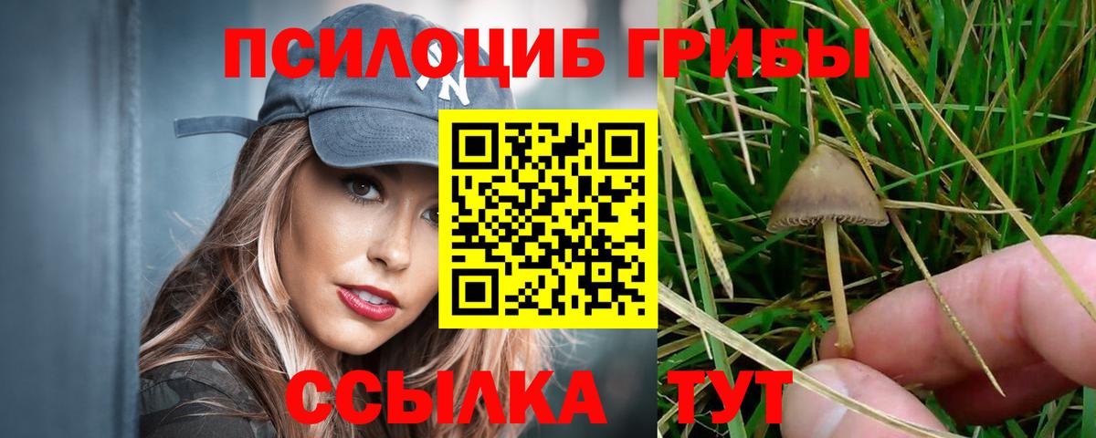 Янаул  Галлюциногенные грибы Psilocybine cubensis  Вход с VPN 